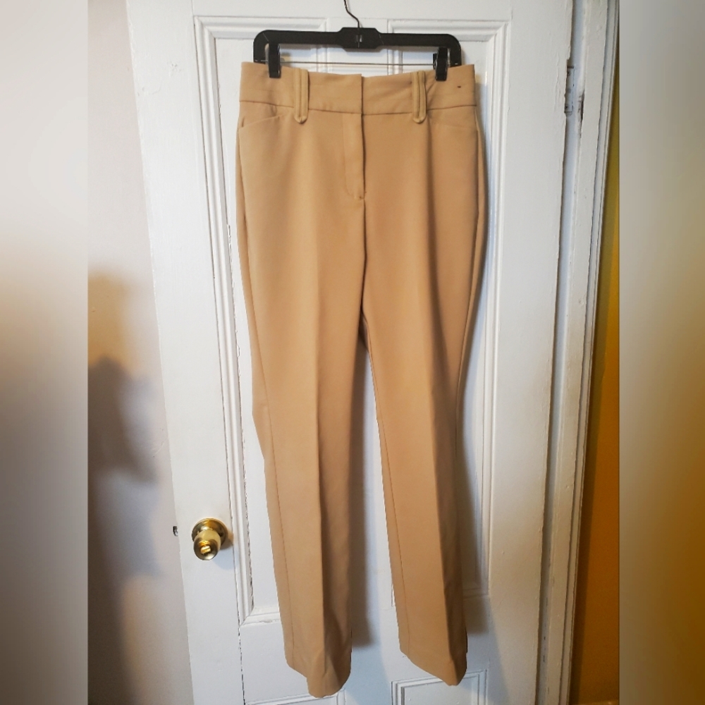 7th Avenue Design Studio New York and company  Pants